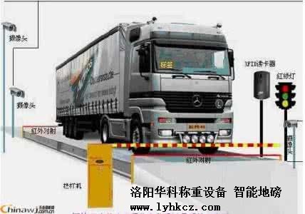 1547525863509984.jpg 29.jpg