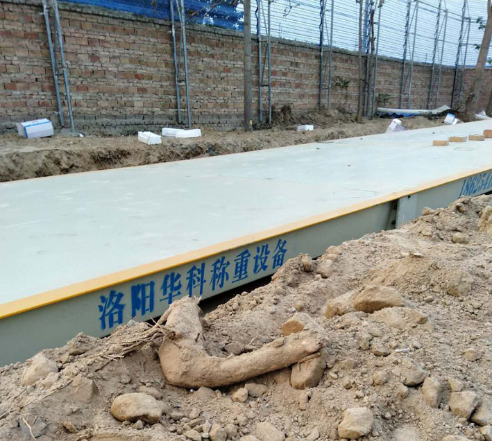 1562547357950640.jpg 2.jpg