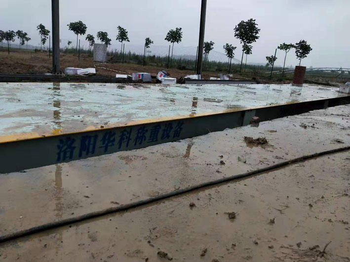 1647334014951815.jpg 3.jpg