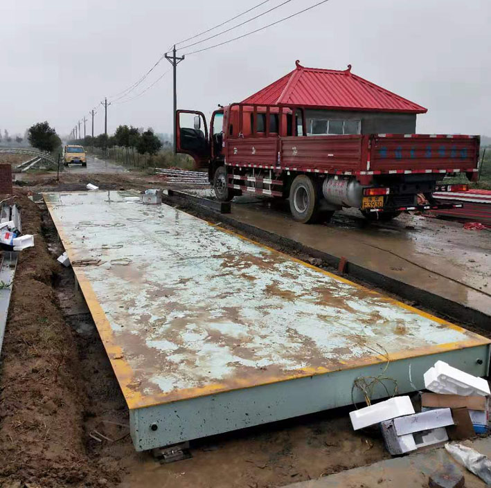 1647334038861464.jpg 5.jpg